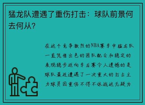 猛龙队遭遇了重伤打击：球队前景何去何从？