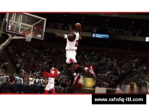 芦苇谁nba：巅峰时刻与终极荣耀
