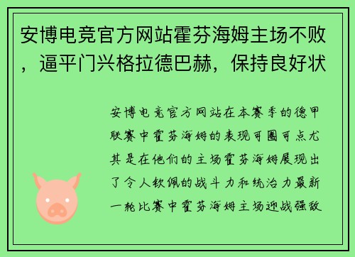 安博电竞官方网站霍芬海姆主场不败，逼平门兴格拉德巴赫，保持良好状态 - 副本